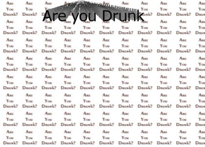 Are you drunk?