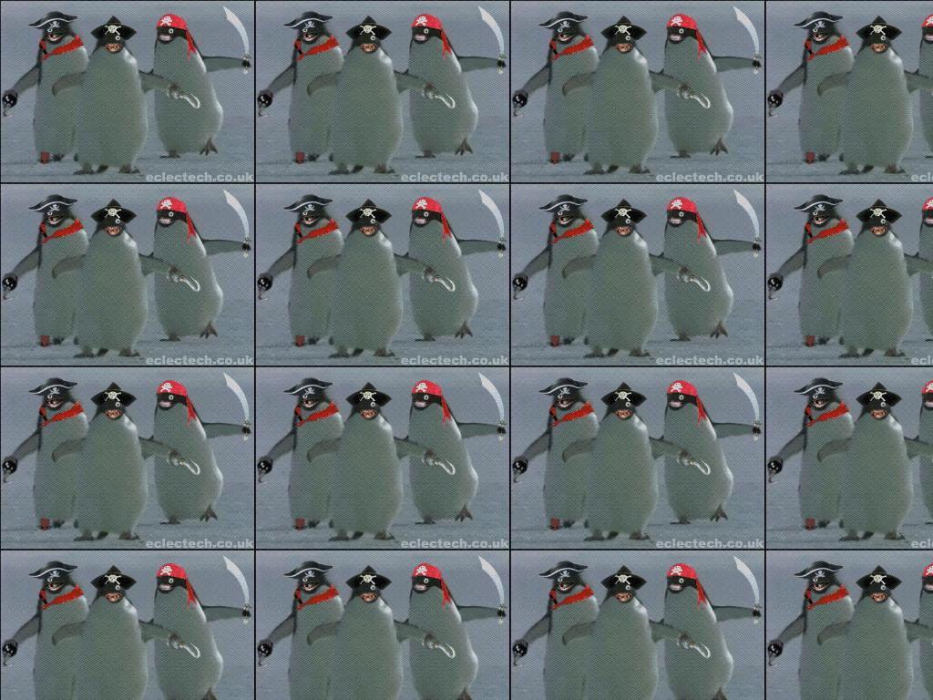 penguinslovetheirbikes