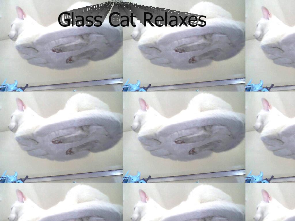 glasscat