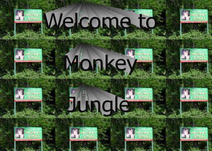Welcome to Monkey Jungle
