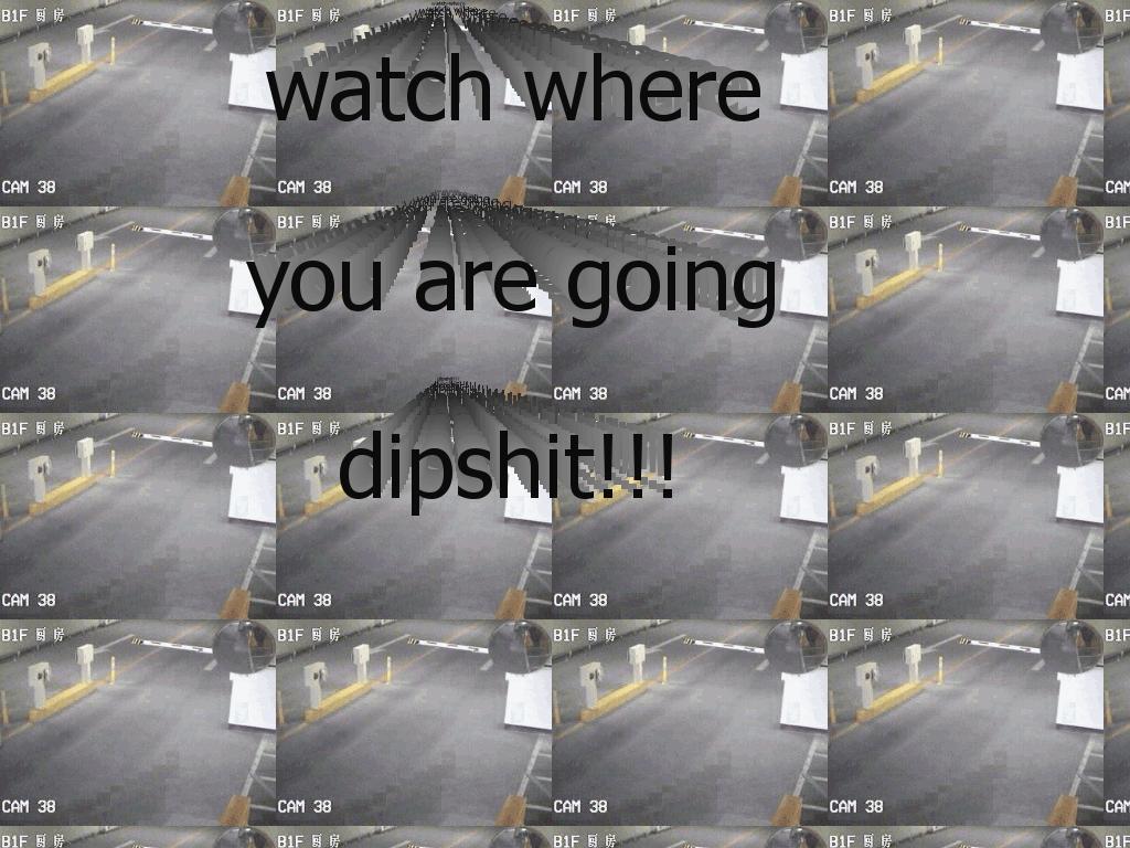 watchoutdipshit