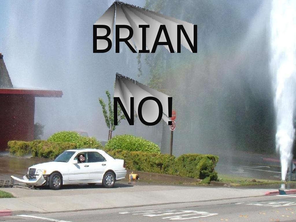 briancarcrash