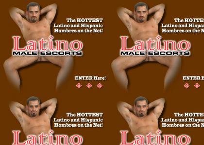 Gay latino