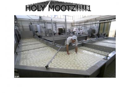 MAMA MIA! LOTSA MOOTZ!