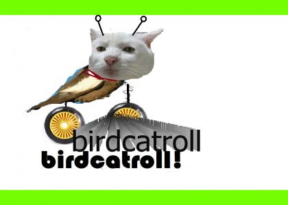 birdcatroll