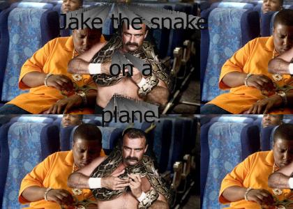 Jake the Snake on a plane!
