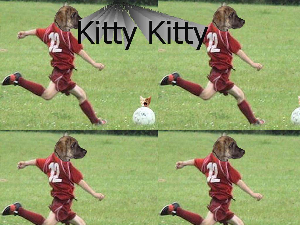 dogkickkitty