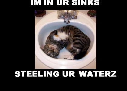 Im in ur sinks...