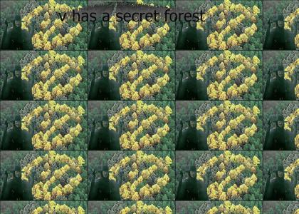 omg secret v forest