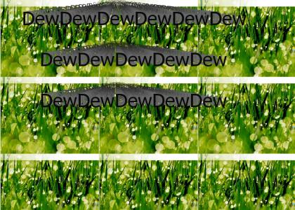 Dew Dew Dew Dew