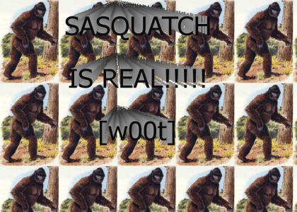 SASQUATCH IS REAL!
