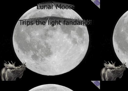 PTKFGS: Lunar Moose (DYNAMIC!)