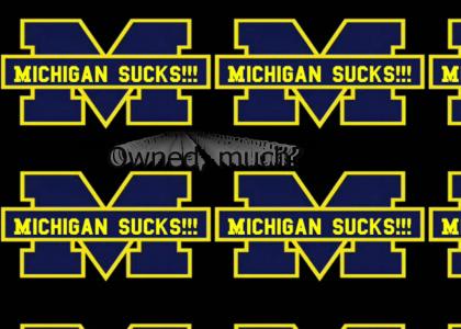 Michigan has a new logo