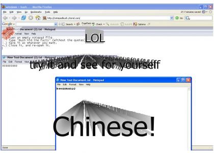 windows + bush = Chinese