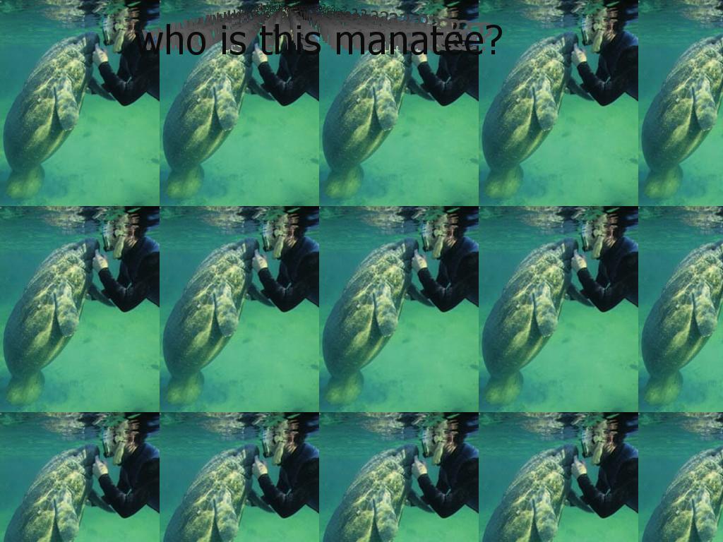 whoisthismanatee