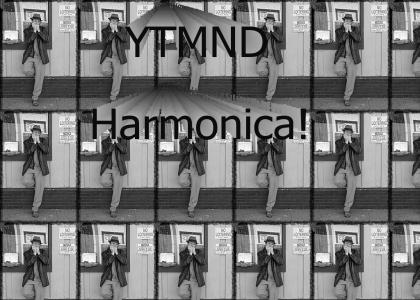 YTMND Harmonicist (Changed picture)