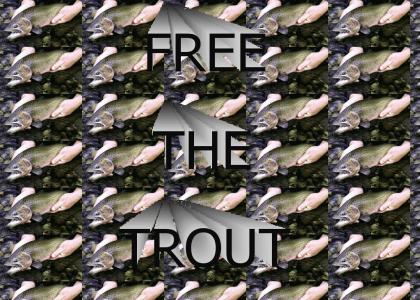 Freedom Trout