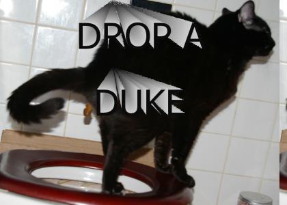 DUKE IT OUT