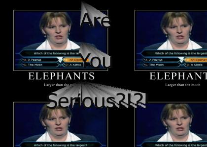 Elephants, Really?