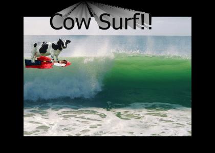 CowSurf