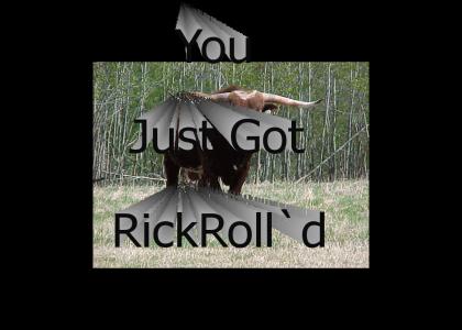 RickRoll`d