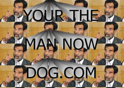 Your the dictator now dog