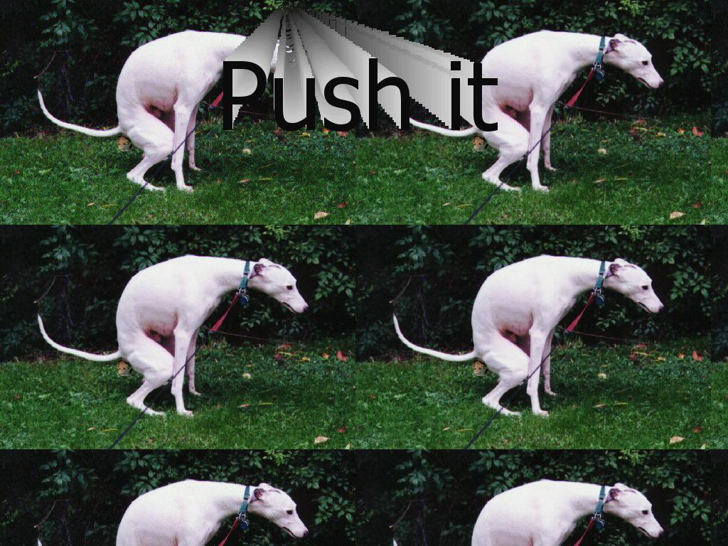 pushitdog
