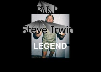A Tribute to Steve Irwin