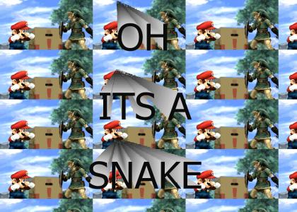 Oh its a snake!
