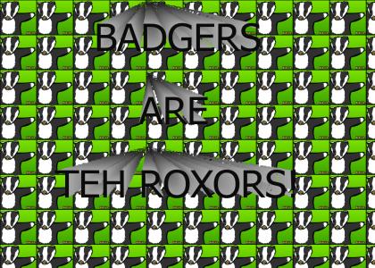Techno Badgers Rox!