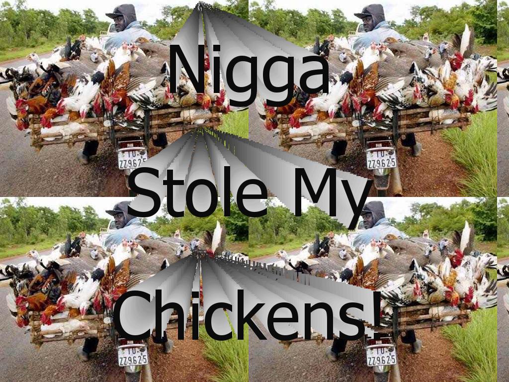 niggastolemychickens