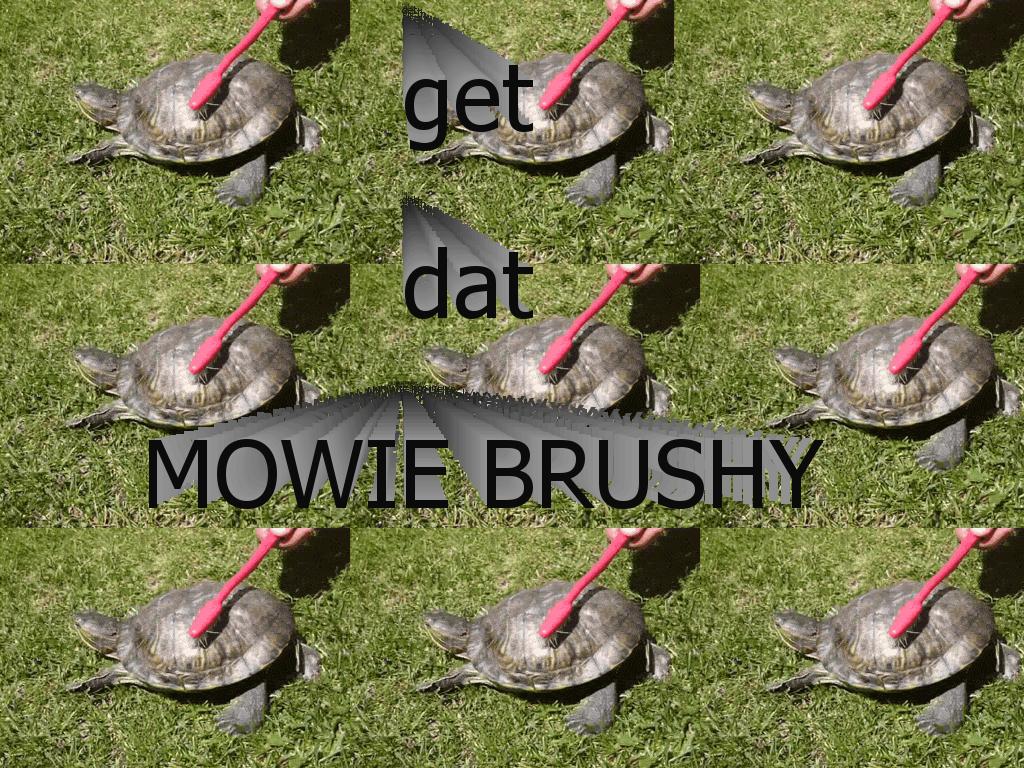 datmowiebrushy