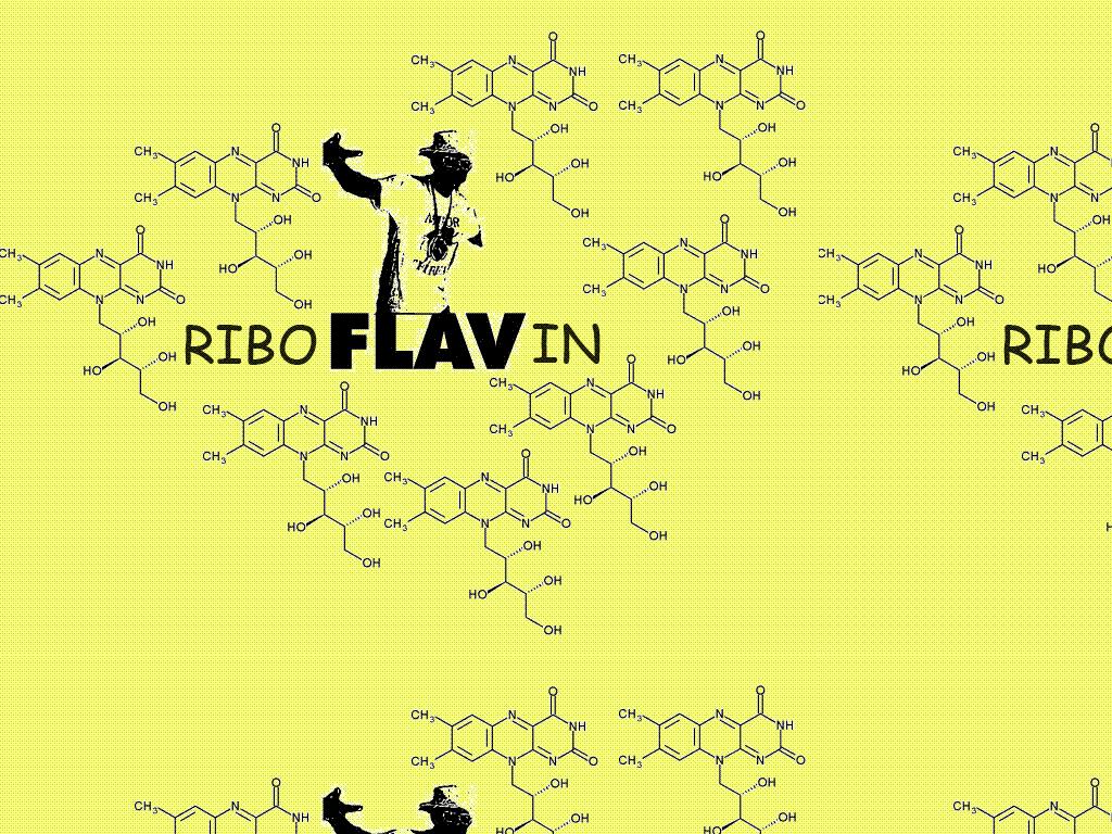 riboflavaflavin