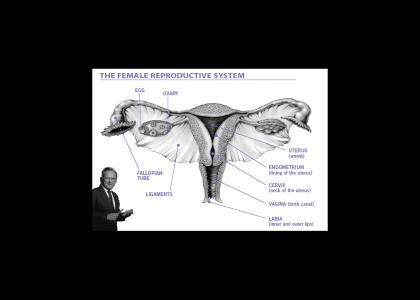 Government Mandated Sex Ed class