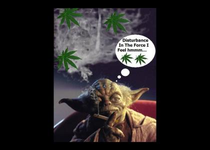 Yoda Isnt High