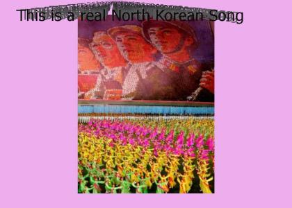 North Korean Rainbow Reunification Song