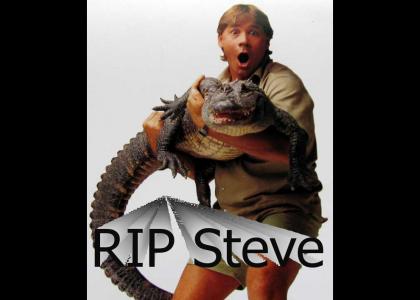 RIP STEVEN IRWIN