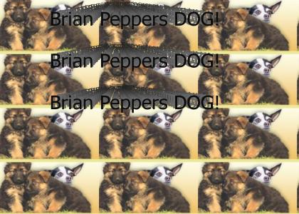 Brain Peppers has a dog!