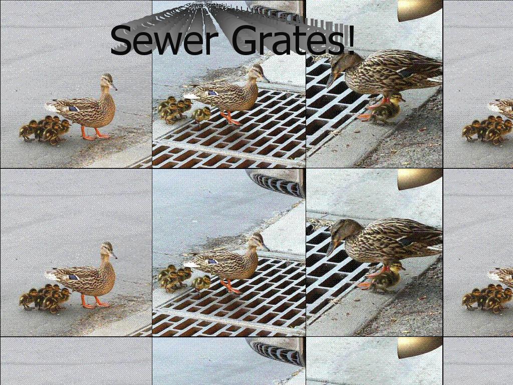 duckweakness