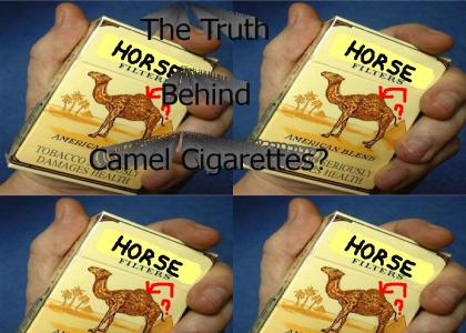 There's no such thing as a Camel!