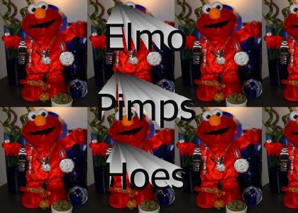 Elmo The Pimp