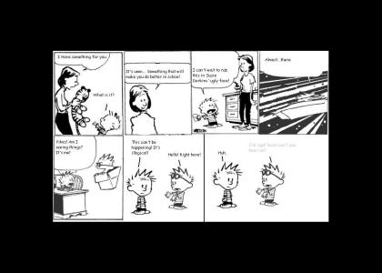 Beyond the end of Calvin and Hobbes: Episode 3