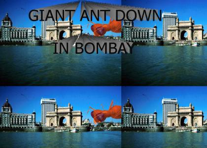 A giant ant down in Bombay