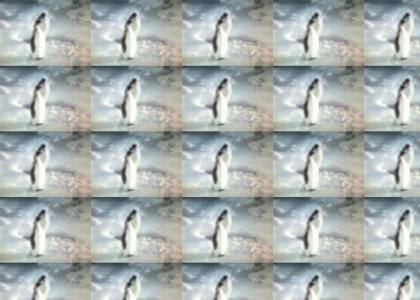 A Penguin's Stride