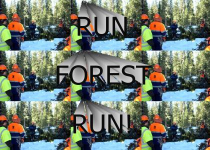 RUN FOREST RUN