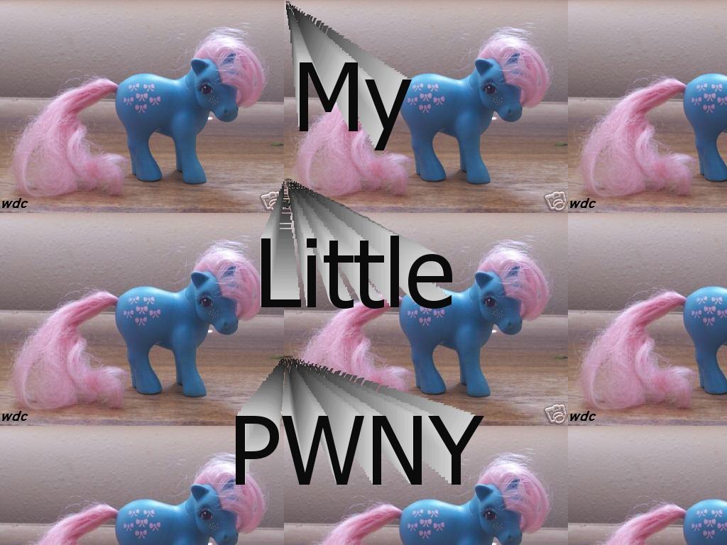 MYWITTLEPWNY