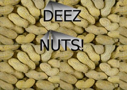 DEEZ NUTS!
