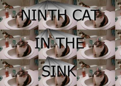 NINTH CAT IN THE SINK