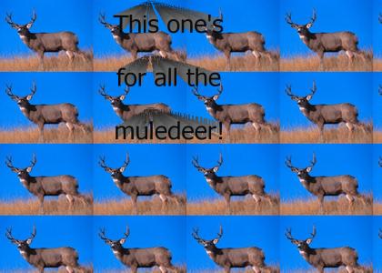 muledeer