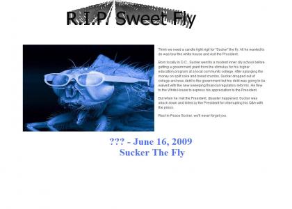 RIP Sucker The Fly